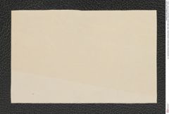 k.k. naturhistorisches Hofmuseum, Intendanzakten 1885-1896 (Hauer), Aktenzahl Z.574/1891, Seite 2